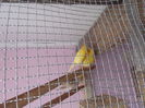 DSCN2658