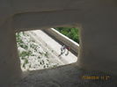 Picture 5901