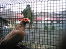 IMG_20160221_091238