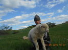 Picture 051