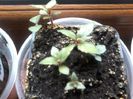 20160426_155710