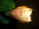 033
