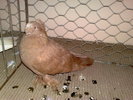 2010-02-06_10-45-06_060220102878