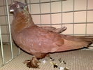 2010-02-06_10-45-16_060220102879