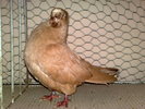 2010-02-06_10-45-56_060220102883