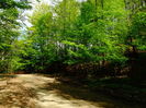 DSC06203