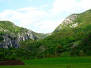 DSC06228