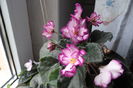 SAM_4042