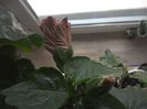 WIN_20160427_104957