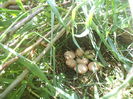 DSCF8402