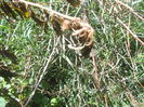 DSCF8405