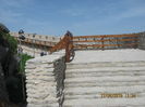 Picture 5921