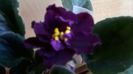 WP_20160427_18_09_25_Pro