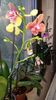 20160427_192935