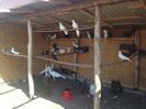 IMG-20160427-WA0008