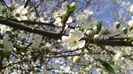 IMG_20160306_142152