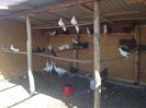 IMG-20160427-WA0002