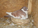 DSCN1495