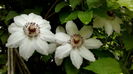 IMG_20160426_124214