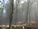 Picture 024