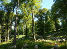 Picture 040