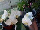 20160428_081327
