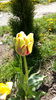 IMG_20160428_120457