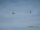 Picture 5934