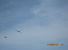 Picture 5935