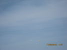 Picture 5937