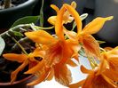 20160428_164000