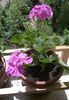 WP_20160428_007mod