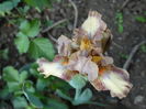 DSC06242