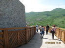 Picture 5939