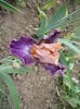 P1260052
