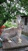 20160429_170230