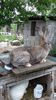 20160429_170043