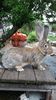 20160429_170730