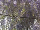 DSCN9217
