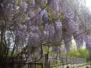 DSCN9222