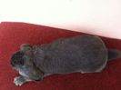 Picture 2286