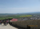 Picture 5947