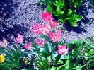 IMG_20160430_140851