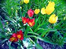 IMG_20160430_140930