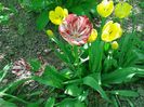 IMG_20160430_141033