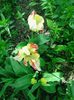 IMG_20160430_141043
