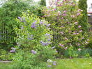 30 apr (88)