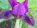 30 apr (26)