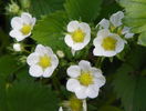 30 apr (11)
