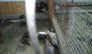 20160430_152749